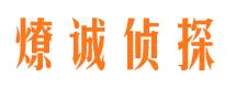 肃宁市场调查